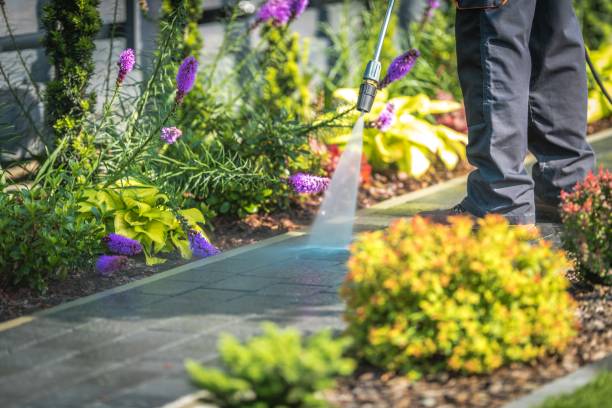 Best Spring Cleaning  in Galveston, TX