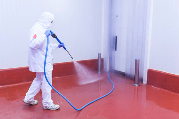 Best Pre-Holiday Cleaning  in Galveston, TX